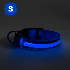 LED obojok - s akumulátorom veľkosť S - modrý