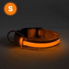LED obojok - s akumulátorom -  veľkosť S - oranžová