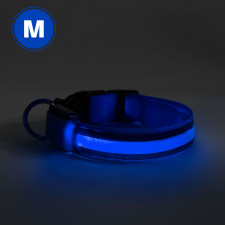 LED obojok - veľkosť M - modrá