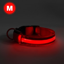 LED obojok - veľkosť M - červená