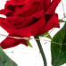 Springos Večná ruža v skle - Led - 22 cm - červená / zelené listy